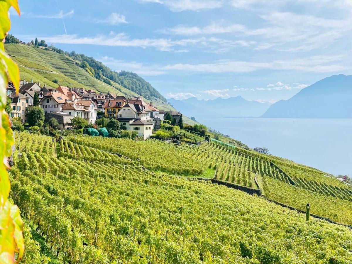Montreux Holiday Home Екстер'єр фото